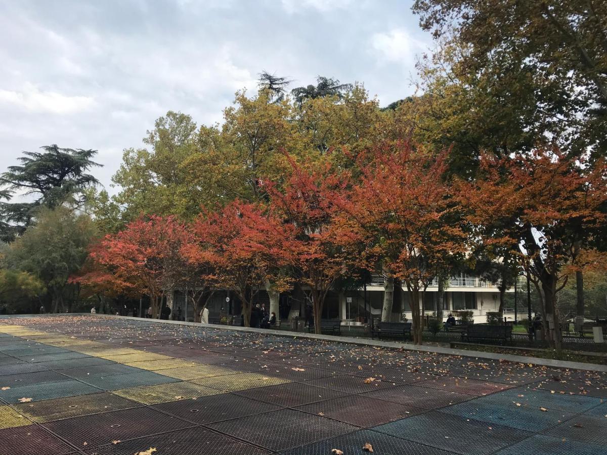 Brobro Hostel ティビリシ エクステリア 写真